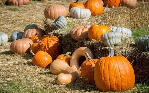 济南吃瓜群众烧烤,吃瓜群众的味蕾盛宴