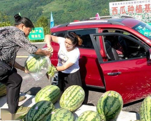 天河区吃瓜群众,揭秘社区生活百态