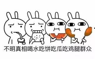 合理吃瓜群众怎么说话,揭秘娱乐圈幕后真相