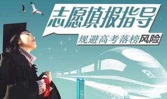 七月吃瓜群众追剧视频播放,热门剧集播放量飙升,吃瓜群众追剧热潮盘点