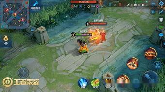 王者荣耀吃瓜群众动作,吃瓜群众动作揭秘,带你领略游戏魅力