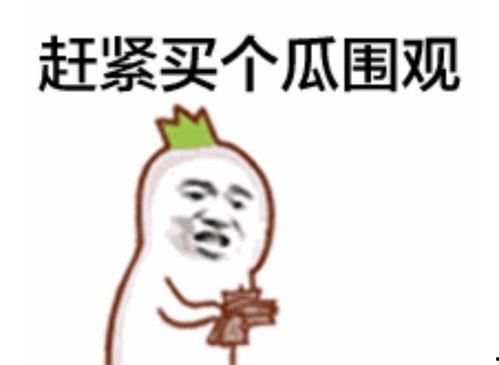 吃瓜群众喂鱼视频播放下载,喂鱼视频播放下载热潮席卷网络