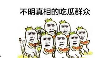 吃瓜群众怎么生活,闲适生活的艺术与智慧