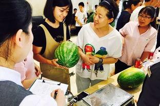 震惊吃瓜群众礼物,揭秘背后的惊人真相