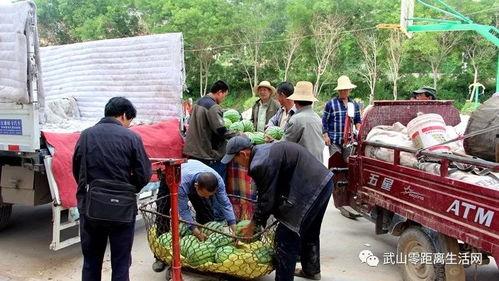 吃瓜群众有口福视频,视频揭秘美食盛宴