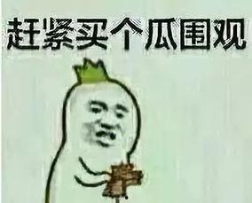 骑墙吃瓜群众,看透世间百态