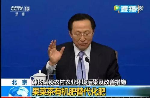 吃瓜群众吴导翻牌视频,吃瓜群众围观幕后花絮