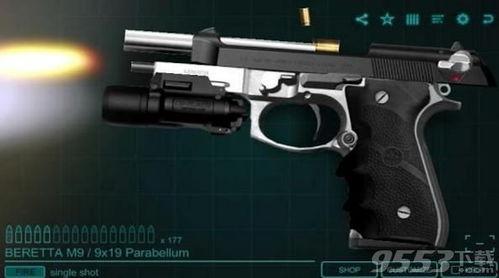 枪支爱好者吃瓜群众,一场激情与理智的碰撞