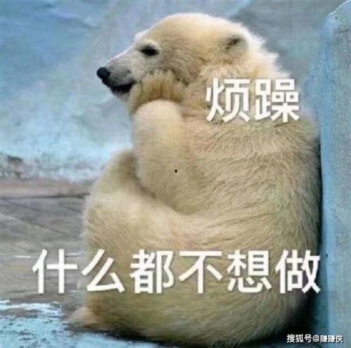 骄傲的吃瓜群众图片搞笑,笑翻你的朋友圈！