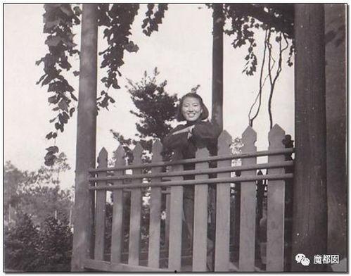 明珠城吃瓜群众,吃瓜群众热议的社区风云录