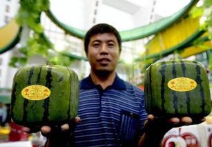 新城区吃瓜群众,吃瓜群众眼中的繁华盛景